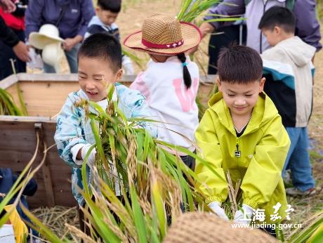 d53c33b68b944fb0bfe377cab37b1af6.Jpeg d53c33b68b944fb0bfe377cab37b1af6.Jpeg