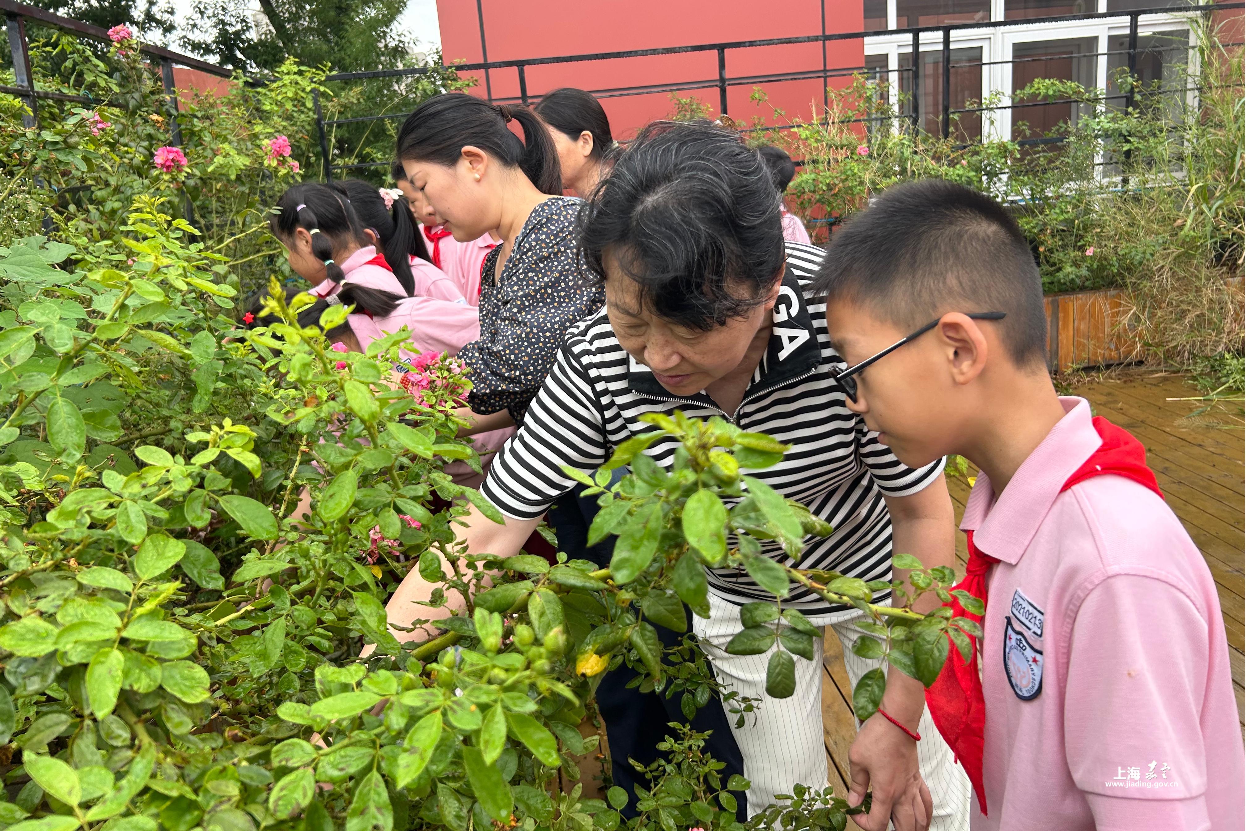 e5760542ebc34e42a312c009669b3fce.jpg e5760542ebc34e42a312c009669b3fce.jpg