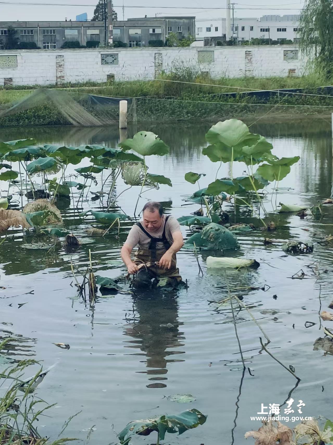 f01361d1da50474fbe22fd535e248adf.jpg f01361d1da50474fbe22fd535e248adf.jpg