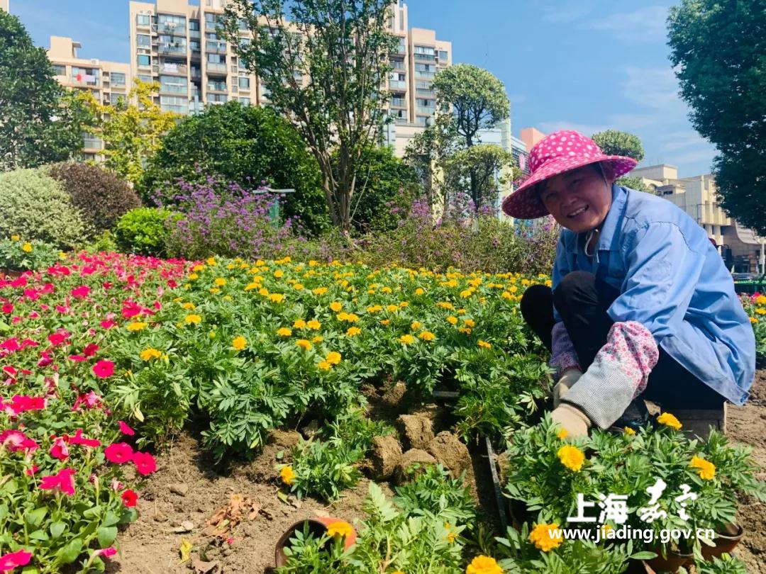 00c1644128294513af2b4dbaa1c0f77b.jpg 00c1644128294513af2b4dbaa1c0f77b.jpg