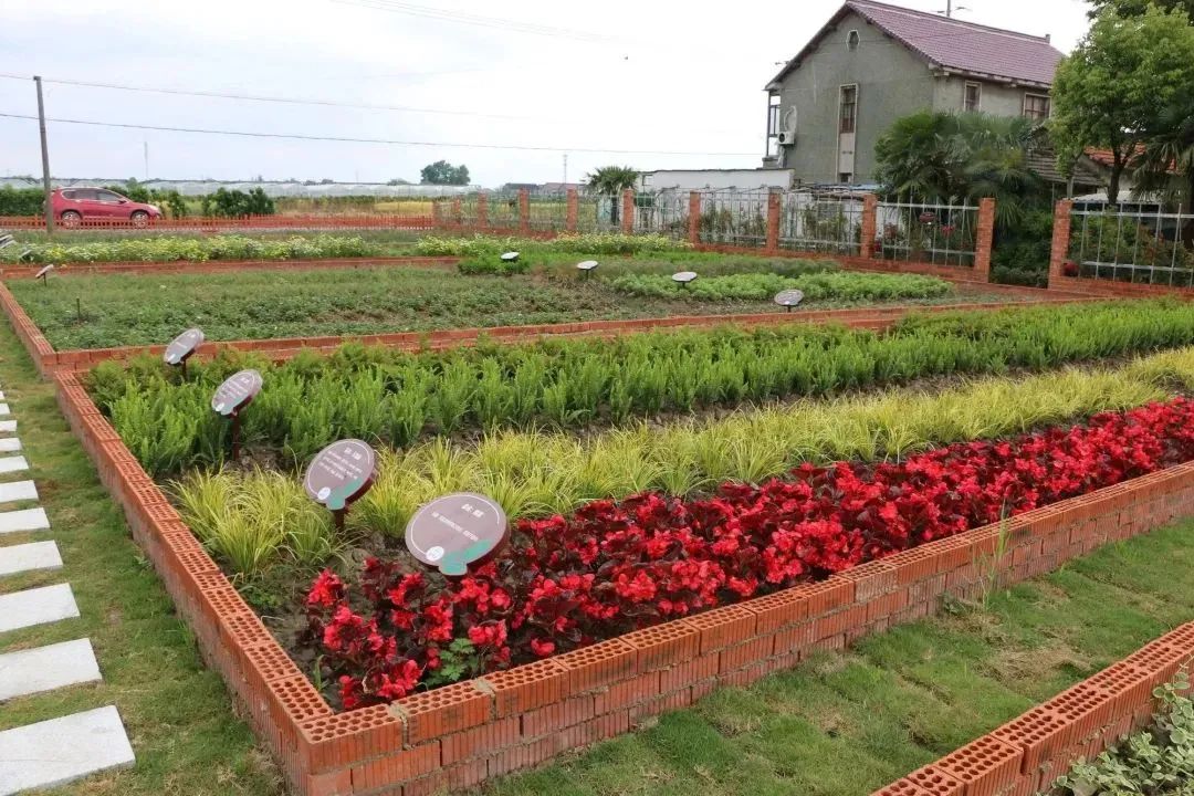 微信图片_20230510193326.jpg 微信图片_20230510193326.jpg