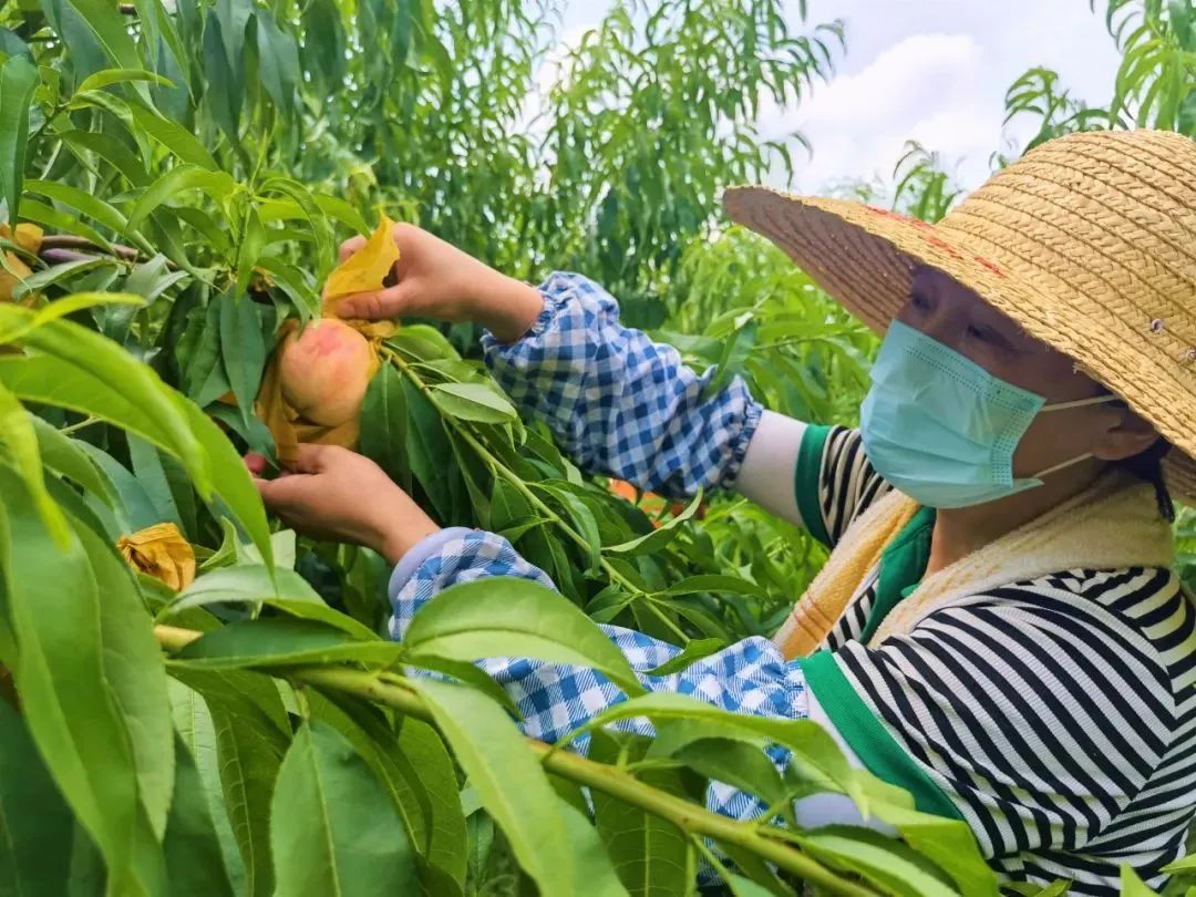 微信图片_20220708164518.jpg 微信图片_20220708164518.jpg