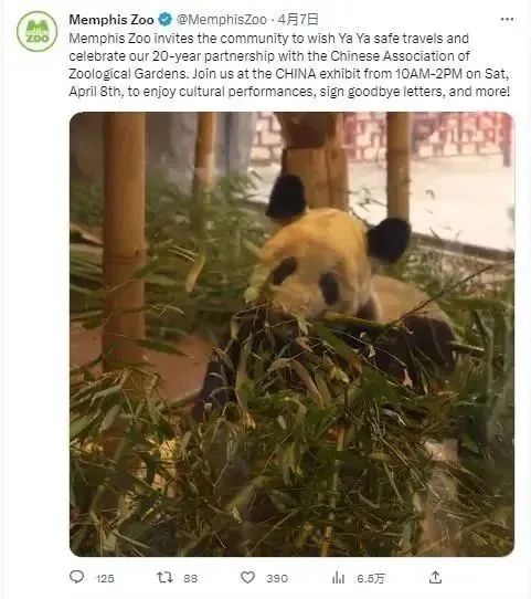 正文图片