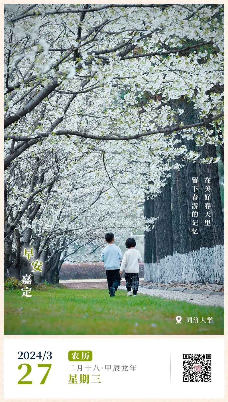 正文图片