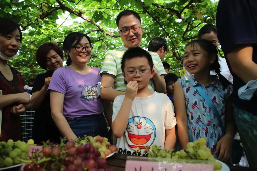 正文图片 正文图片