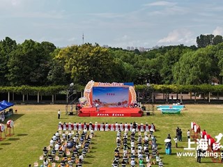 庆农业丰收，享美好生活！嘉定这样庆祝中国农民丰收节
