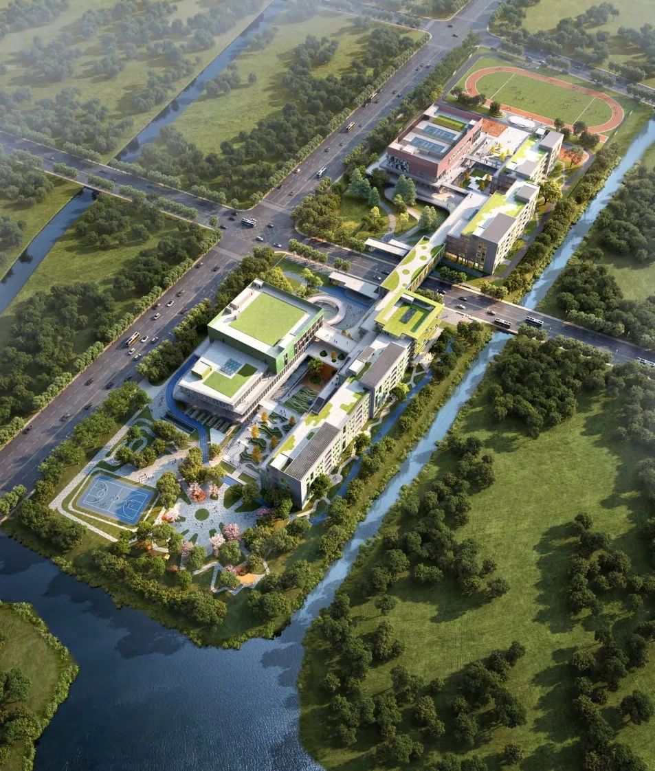 正文图片 正文图片