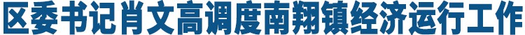 区委书记肖文高调度南翔镇经济运行工作