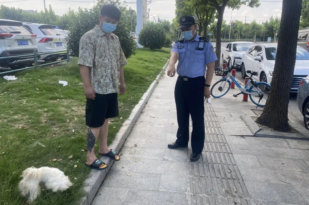 正文图片 正文图片