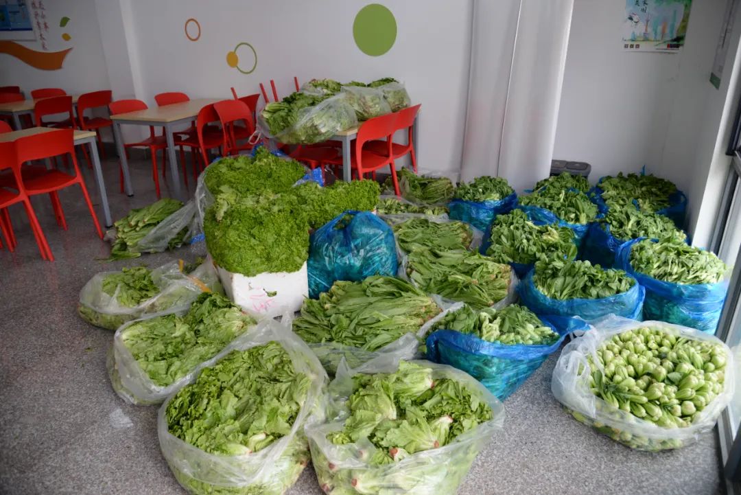 正文图片 正文图片