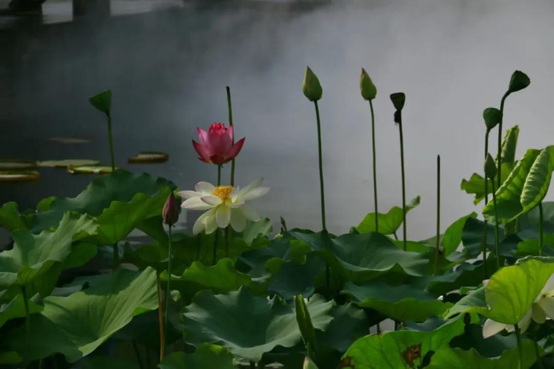 微信图片_20210707130211.jpg 微信图片_20210707130211.jpg