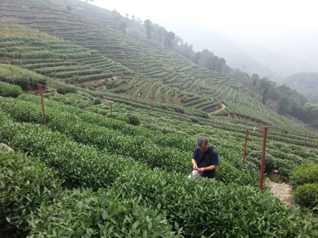 微信图片_20221216171632.jpg 微信图片_20221216171632.jpg