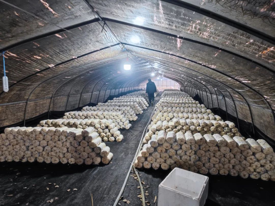 微信图片_20230123194849.jpg 微信图片_20230123194849.jpg