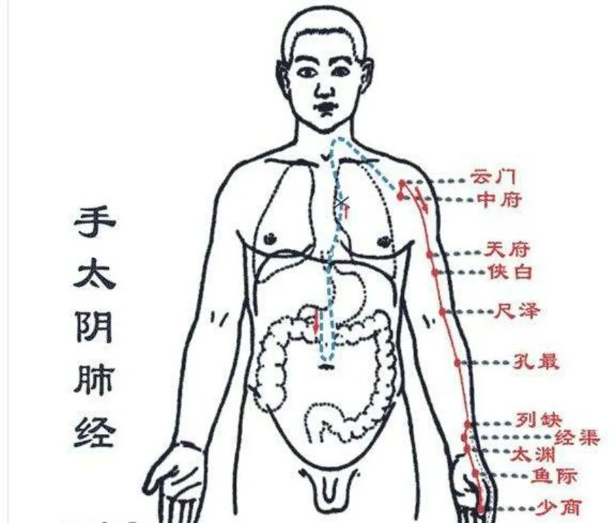 正文图片
