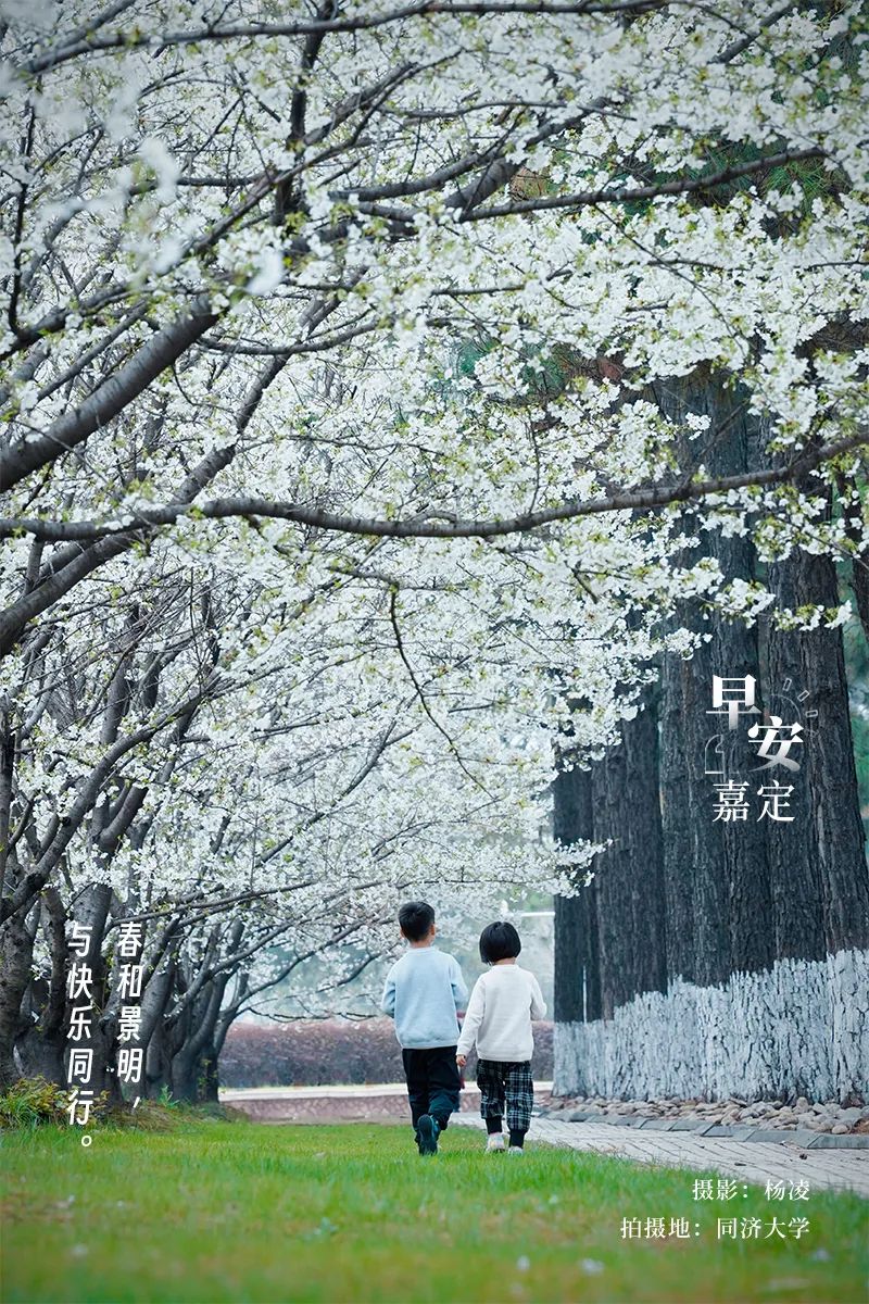 正文图片