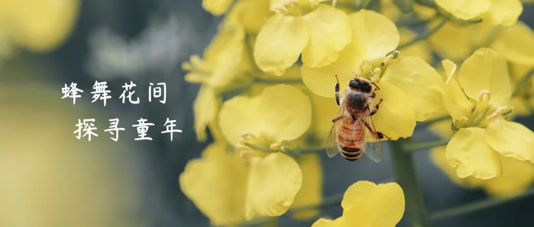 正文图片