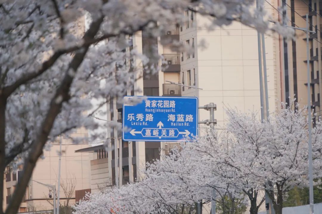 正文图片