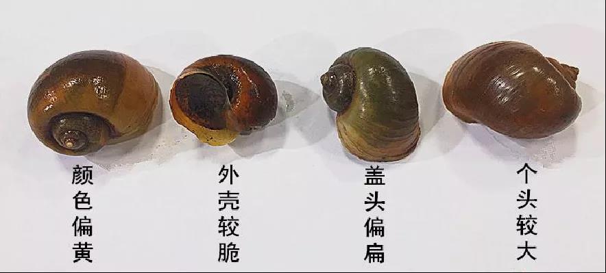 微信图片_20211025111945.jpg