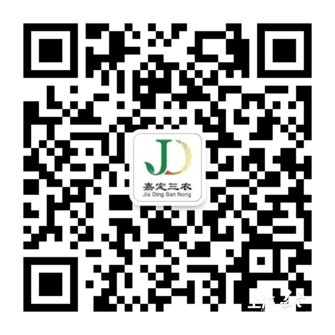 1b7662a20e4b454faf102a22da1b2ff4.jpg