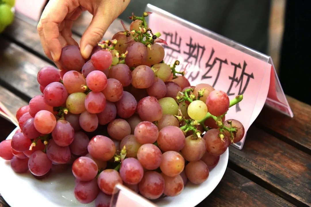 正文图片 正文图片