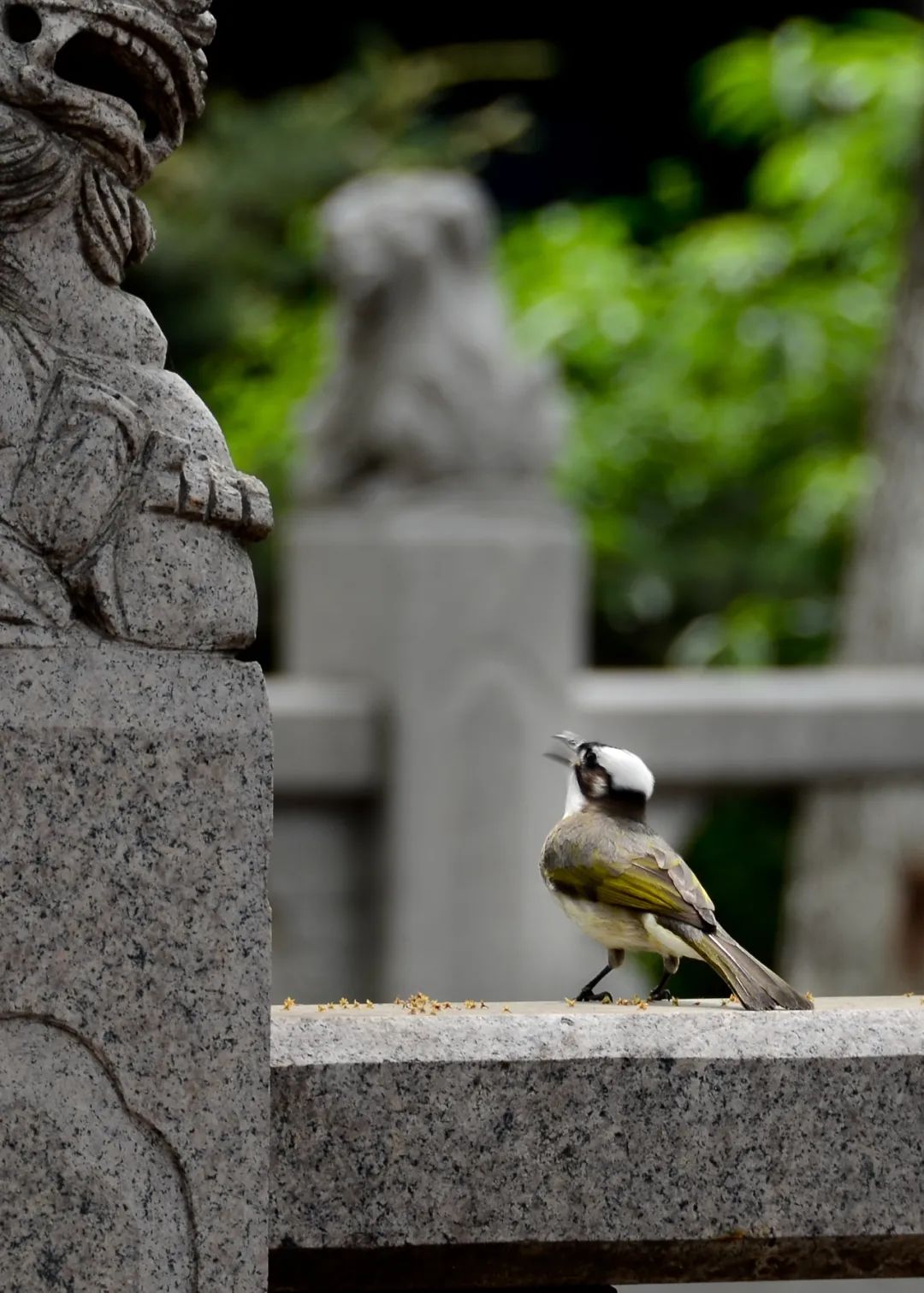 正文图片 正文图片