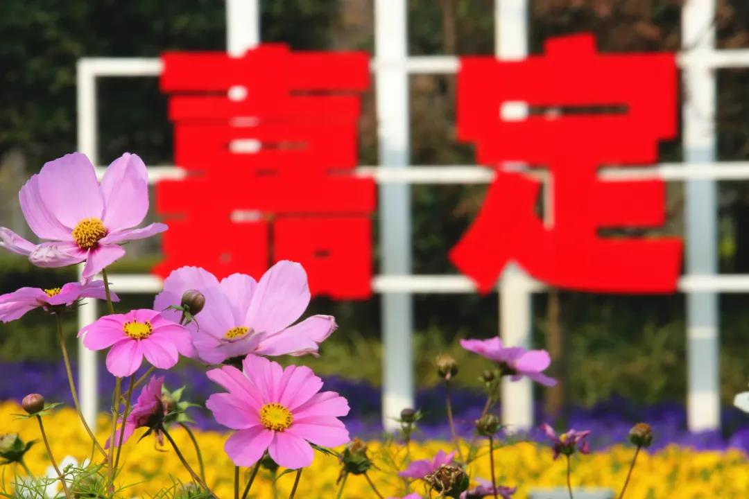 微信图片_20210204194647.jpg