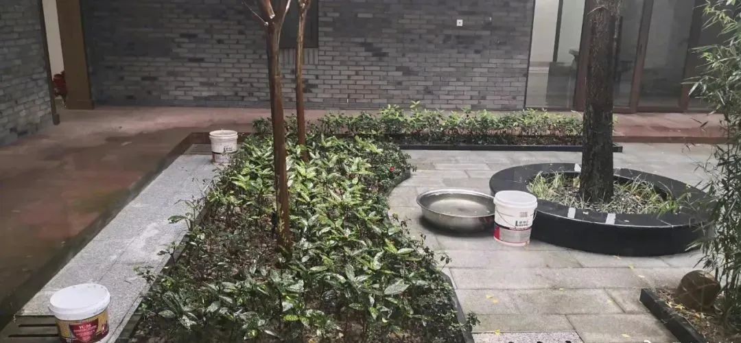 正文图片 正文图片