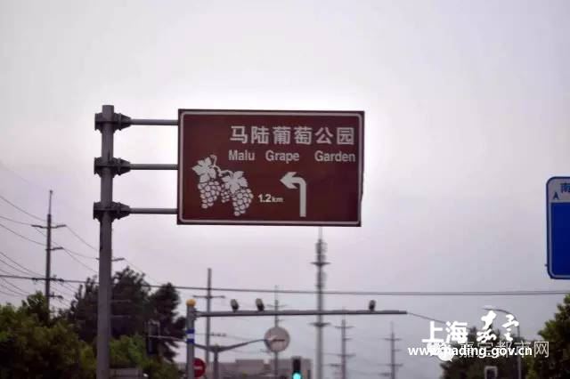 28d10b8ce89a445689cd3a9328649fff.jpg