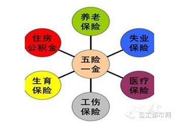 29036c49cf0d4df0a304f0a8d2cfbb70.jpg