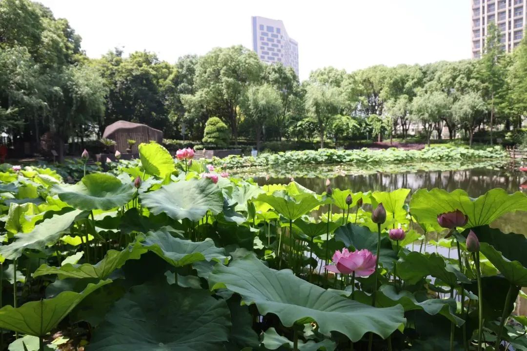 微信图片_20220606204153.jpg
