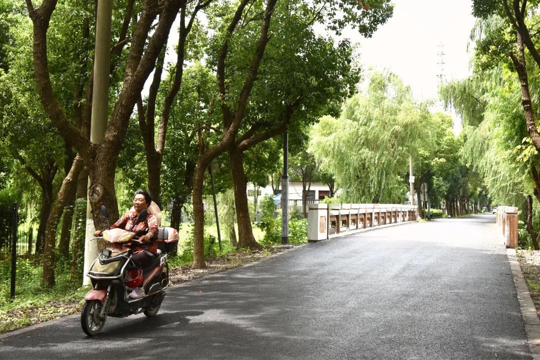 DSC_5807_副本.jpg DSC_5807_副本.jpg