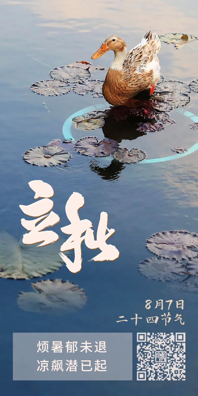 正文图片
