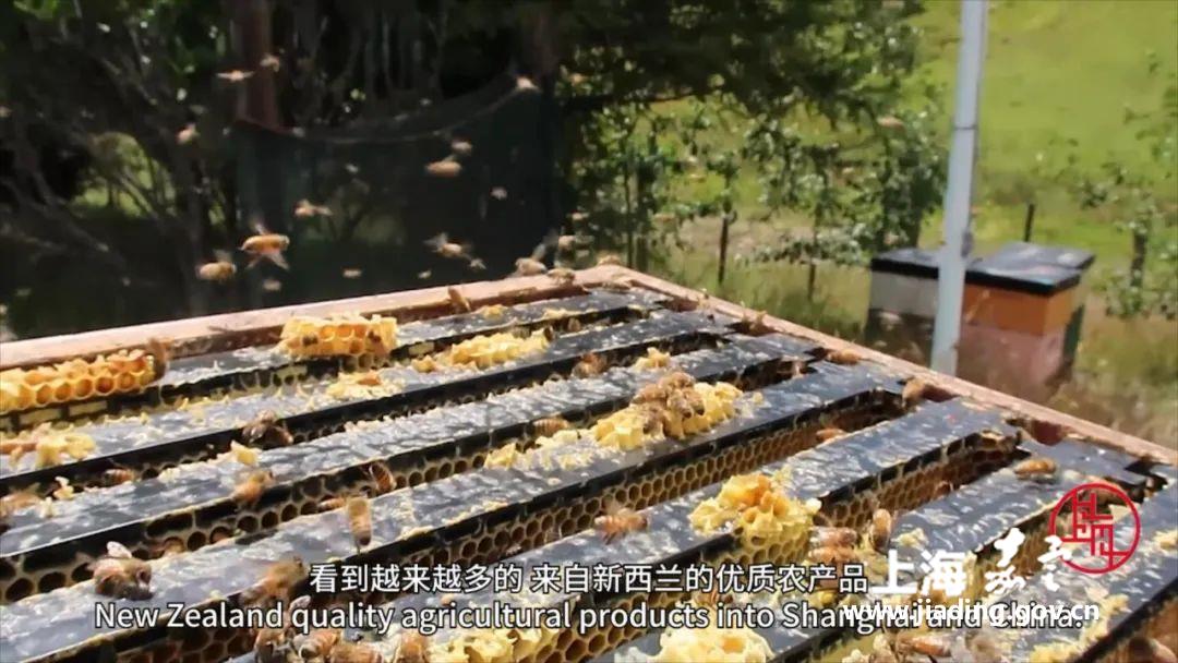 2cc519e5215849cb88dceb93a4db5f9b.jpg 2cc519e5215849cb88dceb93a4db5f9b.jpg