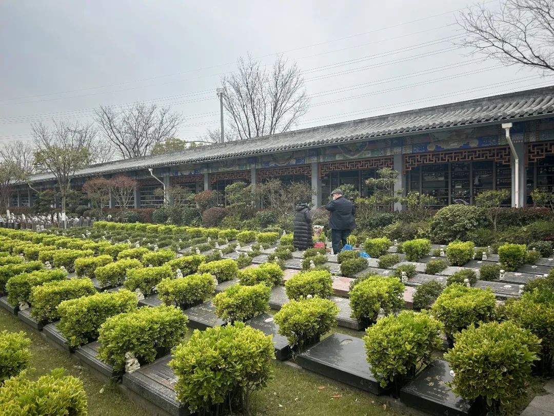 正文图片