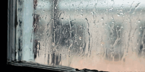微信图片_20210308130040.gif