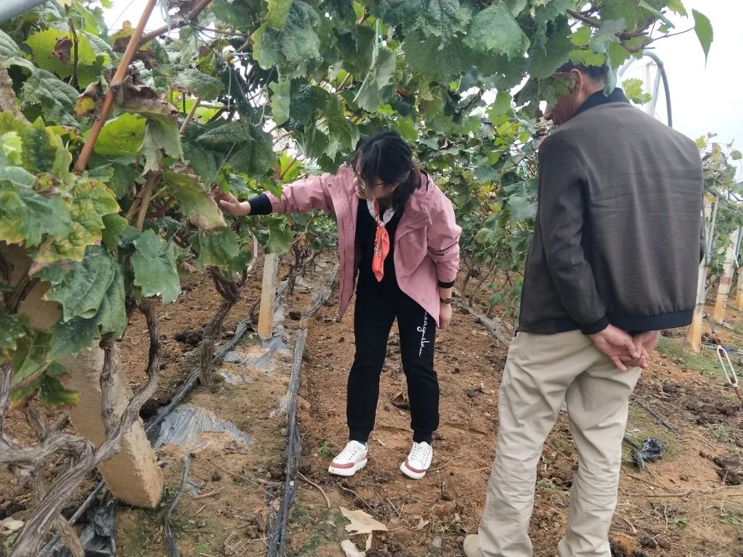 正文图片 正文图片