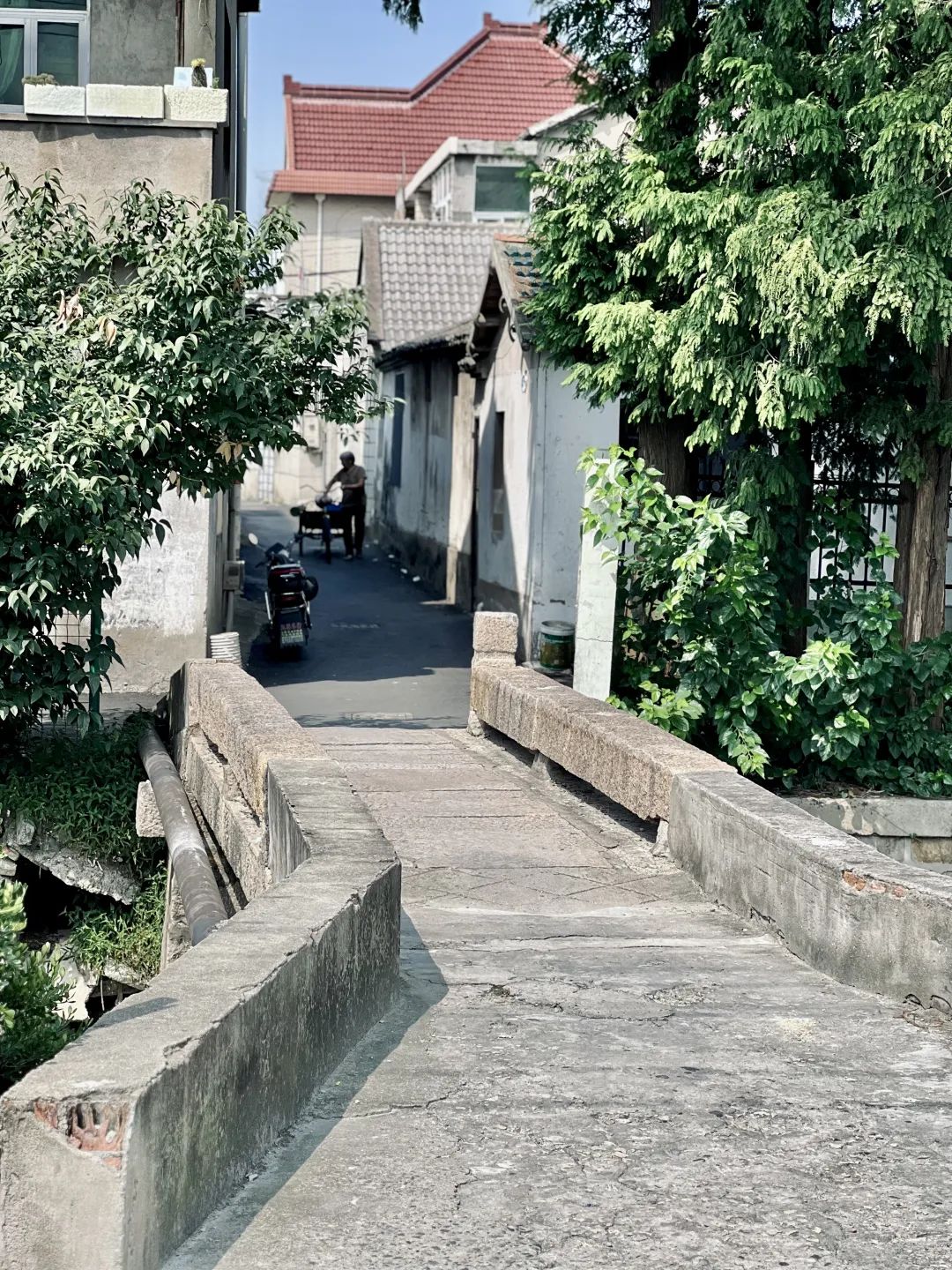 正文图片