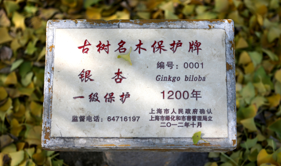 微信图片_20201207162330.png