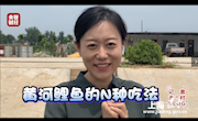 央视小姐姐带你打卡黄河鲤鱼的N种吃法