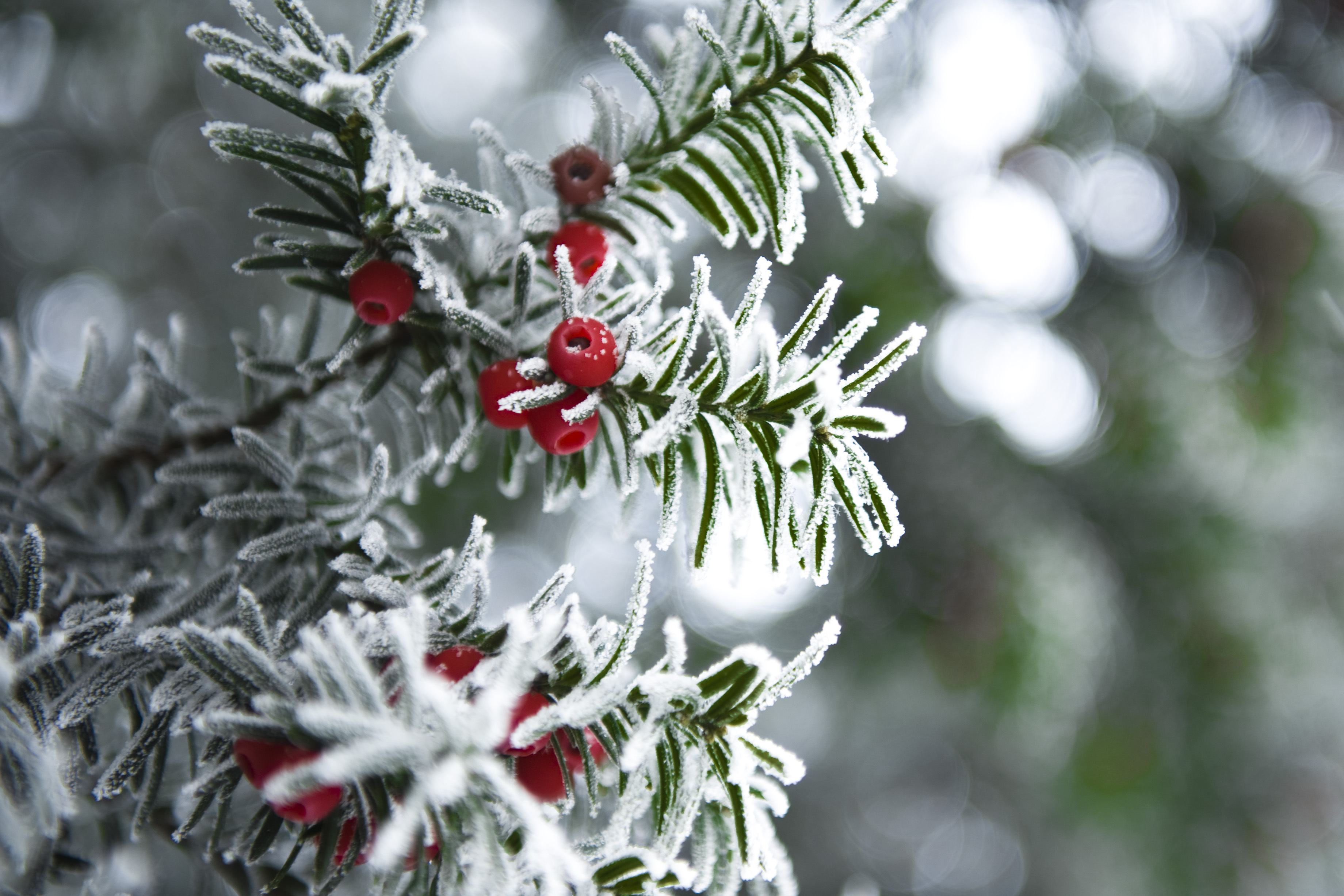 shutterstock_717024292.jpg