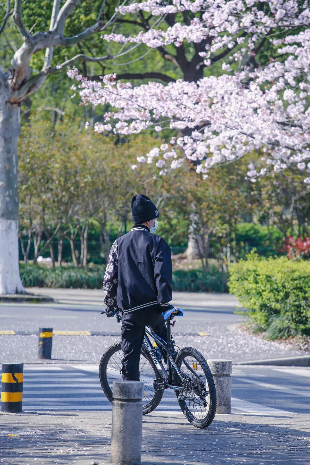 正文图片