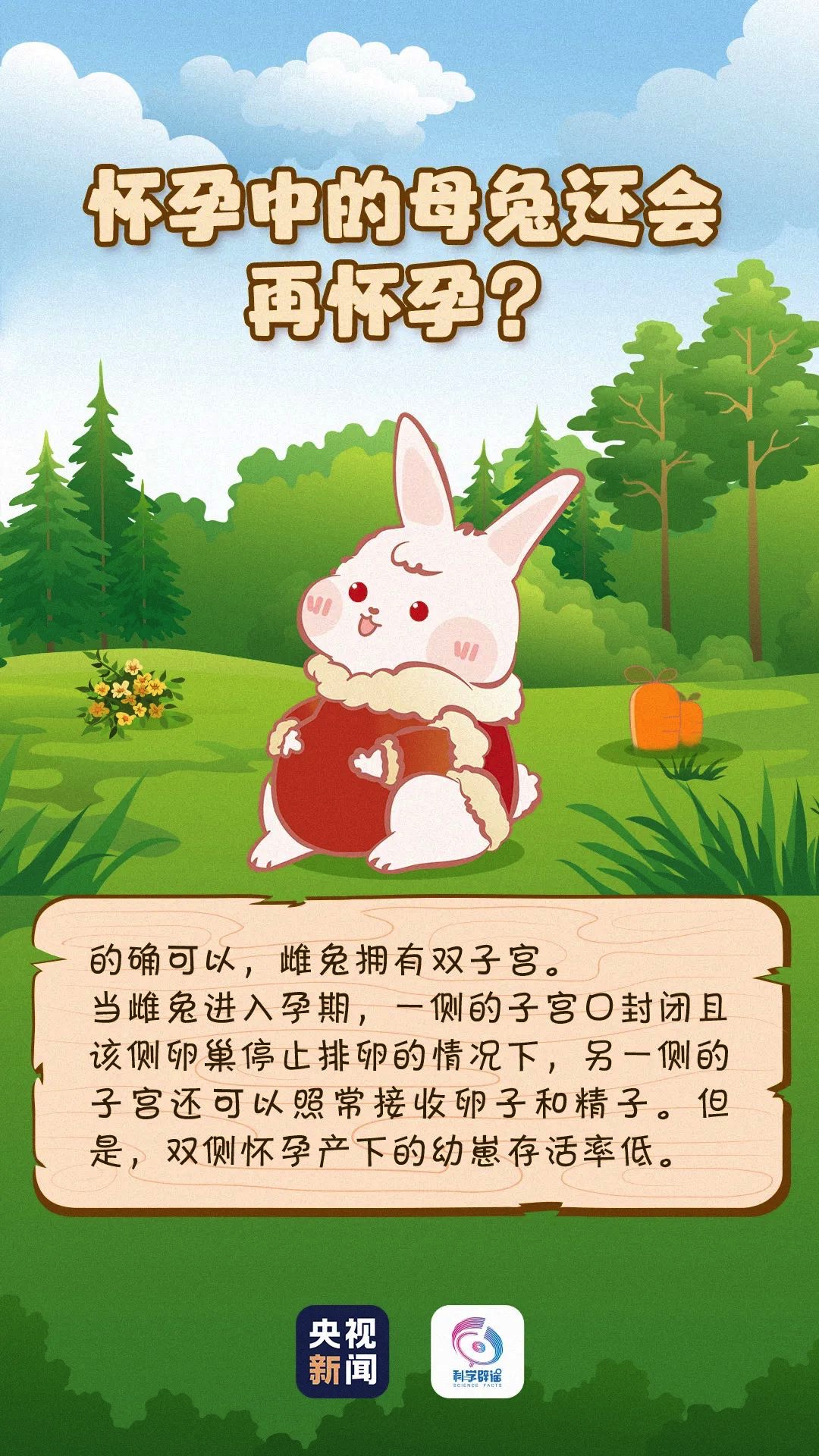FB8C796F-B219-4391-83D3-8533837FF710.jpeg