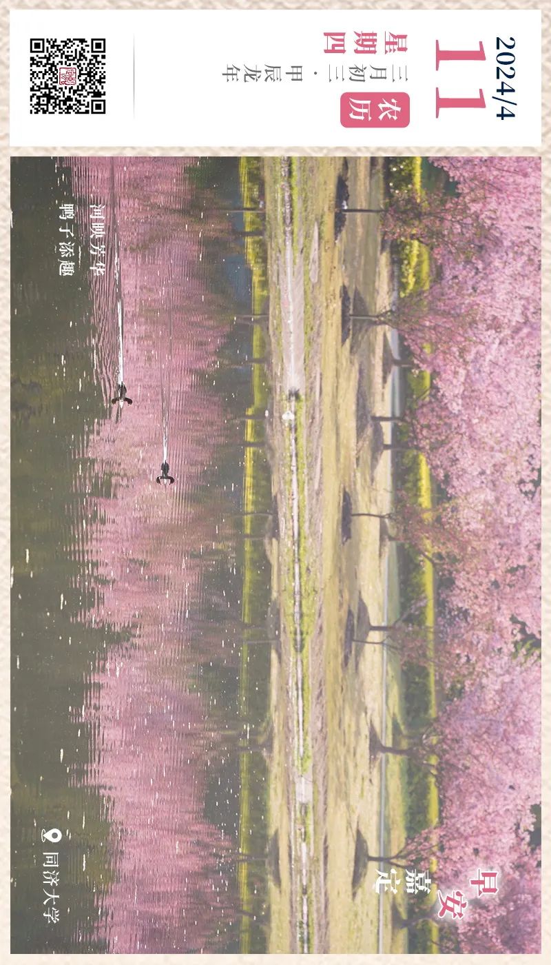 正文图片