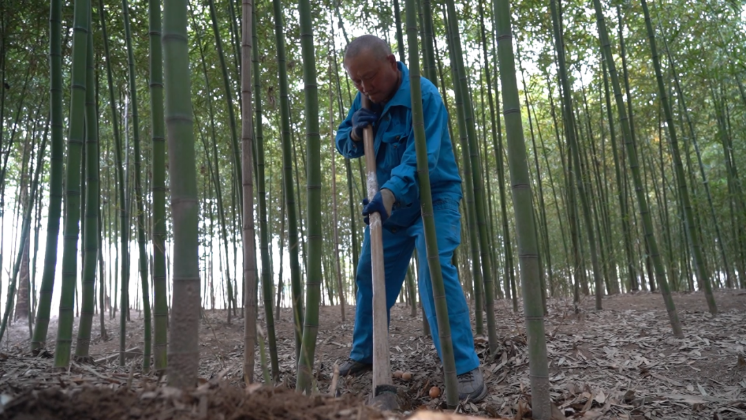 正文图片
