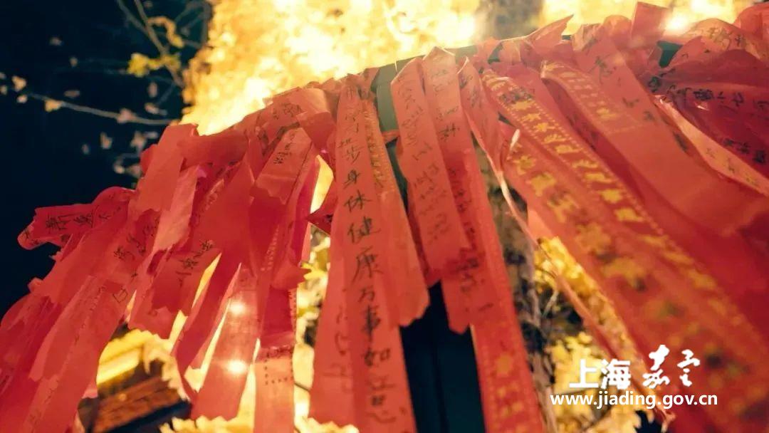 77b027cdd92643a28ae02e16067583e2.jpg 77b027cdd92643a28ae02e16067583e2.jpg