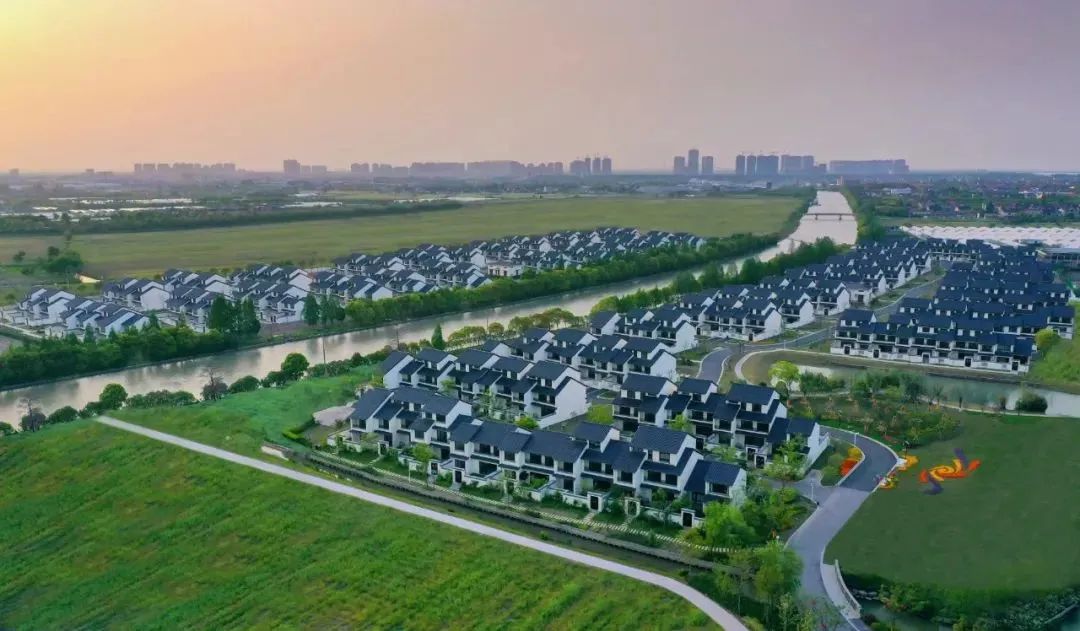 正文图片 正文图片