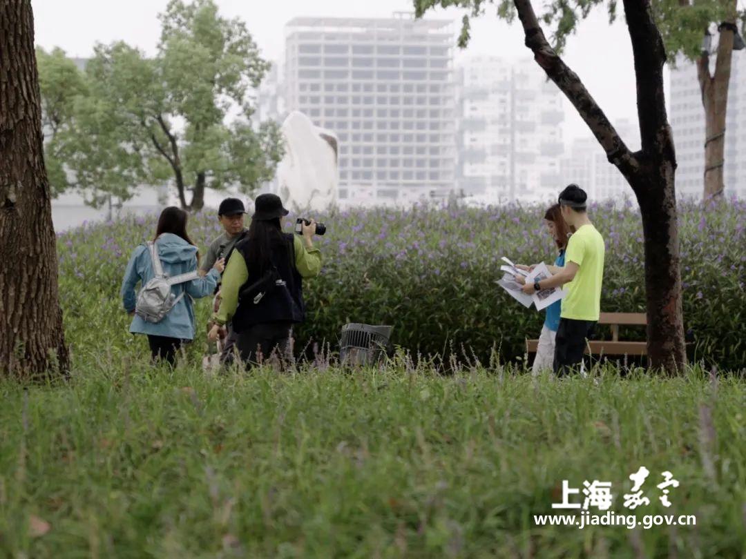 49ee8984291844468b95a9bf552030b7.jpg 49ee8984291844468b95a9bf552030b7.jpg