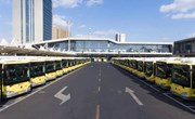 区交发集团：高站位严基调实作风，推动主题教育走深走实