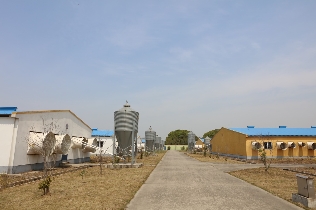 1J6A8152.JPG