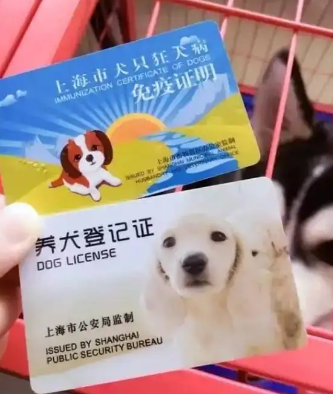 正文图片 正文图片